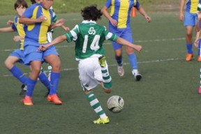 九游网页版入口-国际足球协会推动足球全民普及，青少年参与度飙升，各国青少年足球注册人口