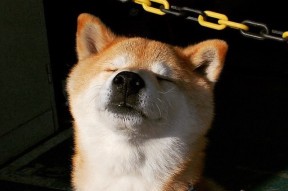 九游登录中心-球员数据分析系统上线提升战术部署科学决策力，球员数据表