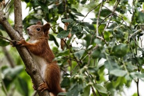 九游娱乐官网 (jiuyou)-“尼古拉斯·桑特基的精确传球与战术视野，为阿根廷美洲狮队带来优势”