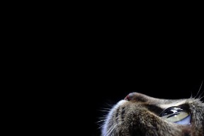 JIU YOU GAME-国家网球中心公布开放日及互动体验活动安排，国家网球中心公布开放日及互动体验活动安排