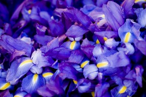 体育课程对学生身体意象认知影响研究，体育课程对部分身体异常