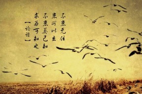 九游登录中心-体育医疗团队提升紧急救援能力与响应速度，体育比赛的医疗援助