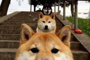 九游娱乐官网 (JIUYOU)-詹姆斯在关键时刻连续命中中投，詹姆斯关键时刻刷2分