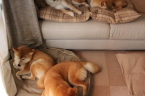 九游jiuyou-世界杯永恒瞬间：最令人心动的比赛片段，世界杯名场面