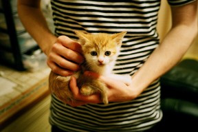 九游官网pc-世界杯万人空巷：足球盛宴掀起狂潮，世界杯足球赛如火如荼地进行