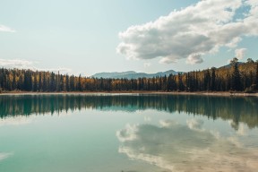 九游娱乐(jiuyou)官网-德甲逆境中崛起：场上逆转成就传奇瞬间，德甲不胜记录