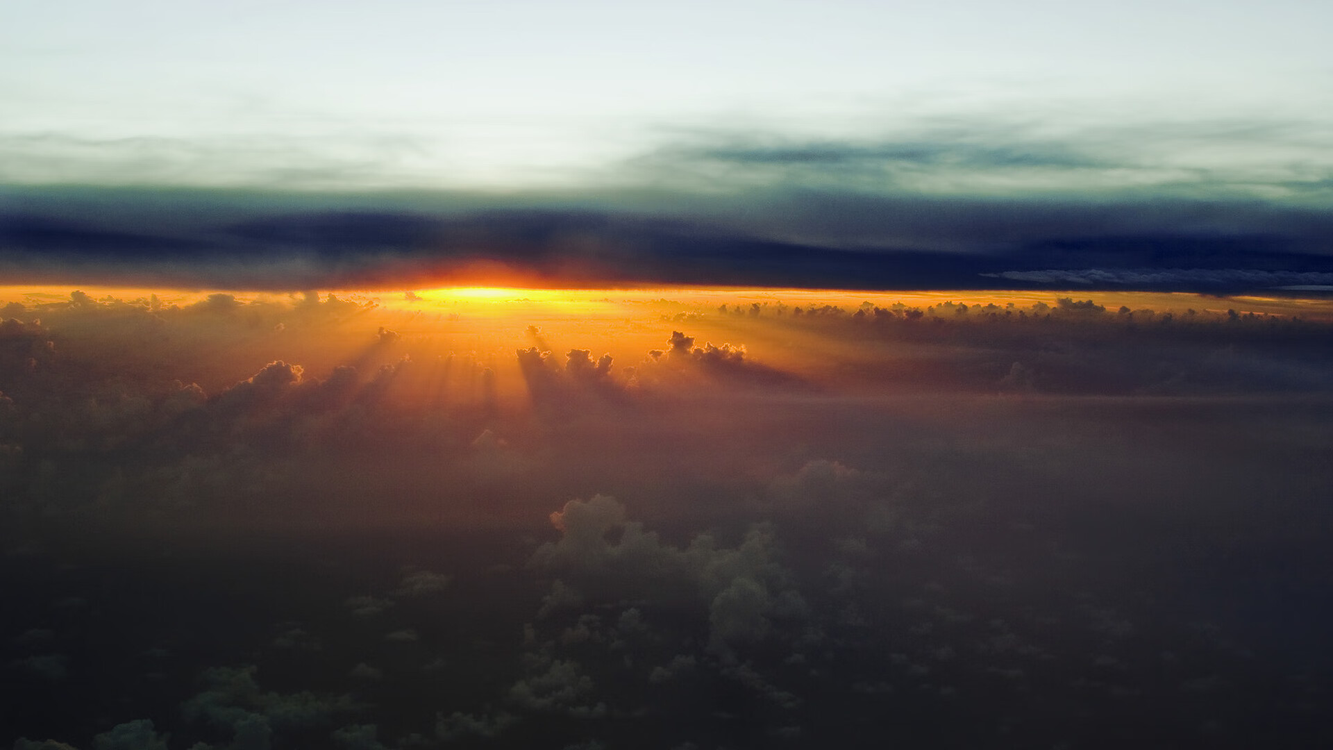 体育志愿服务数字管理平台功能拓展方案，体育数据服务