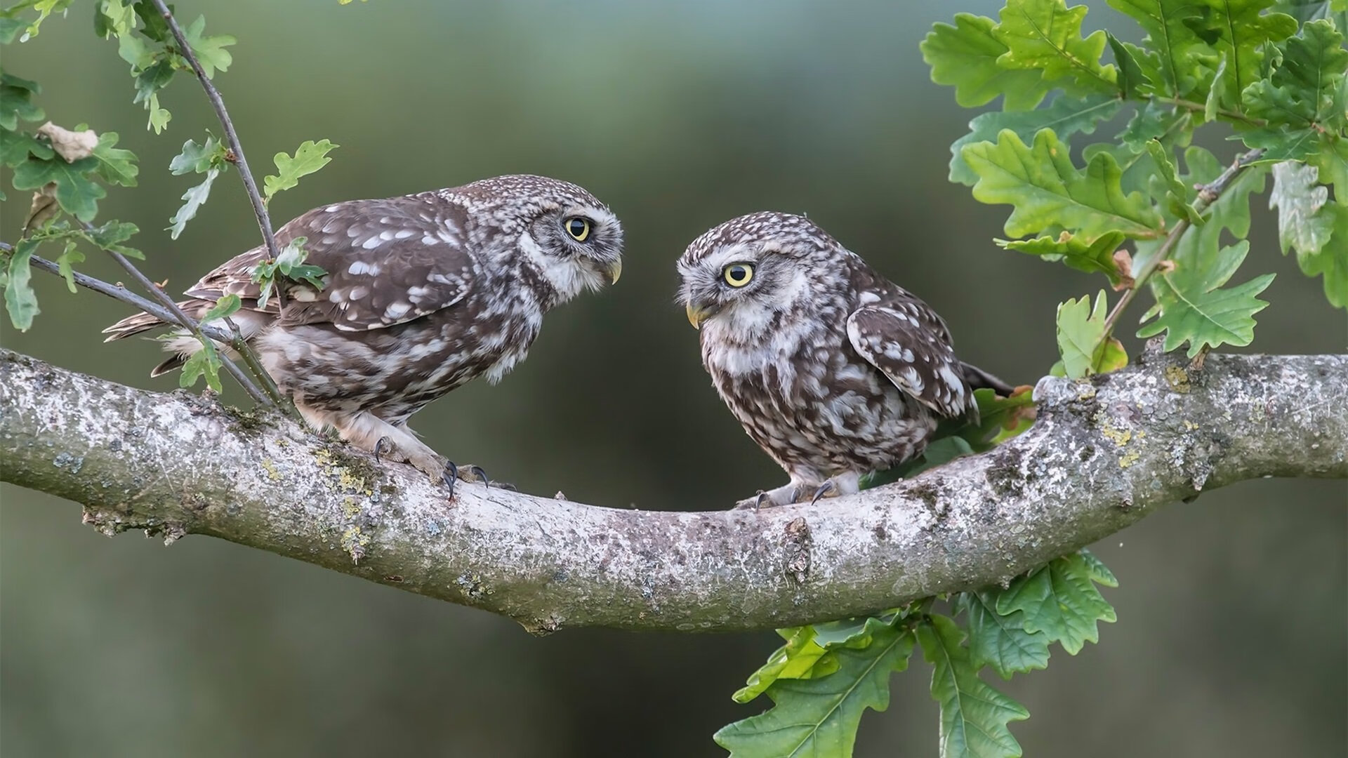 国际热身赛国家队逆袭 球员表现焕然一新,国家队热身赛直播