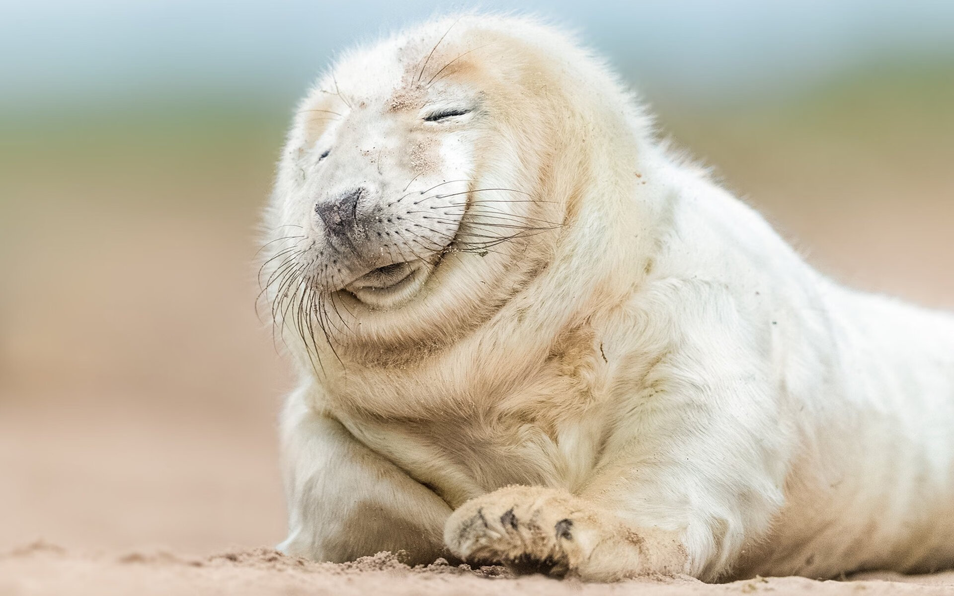 萨勒尼塔纳阵容轮换见成效，萨勒尼塔vs那不勒斯