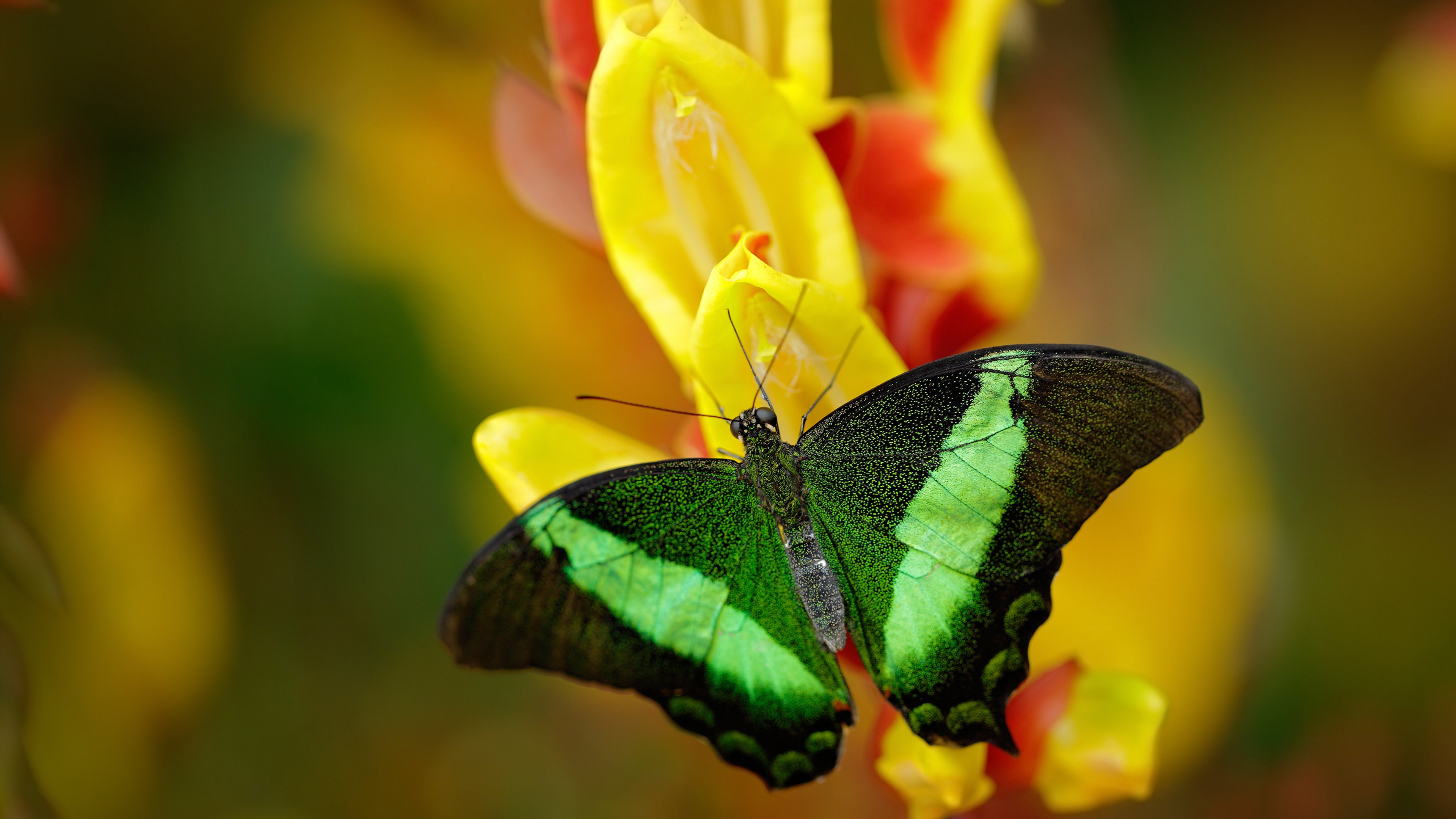 世界杯终极对决:激战不断,燃爆全场!,世界杯终点