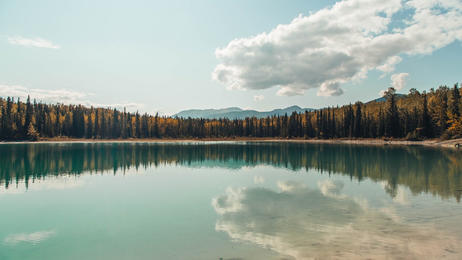 德甲逆境中崛起:场上逆转成就传奇瞬间,德甲不胜记录
