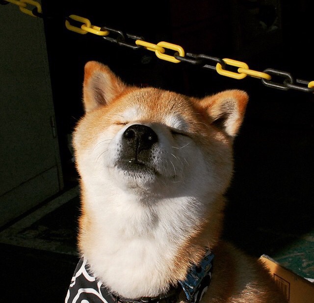 球员数据分析系统上线提升战术部署科学决策力,球员数据表