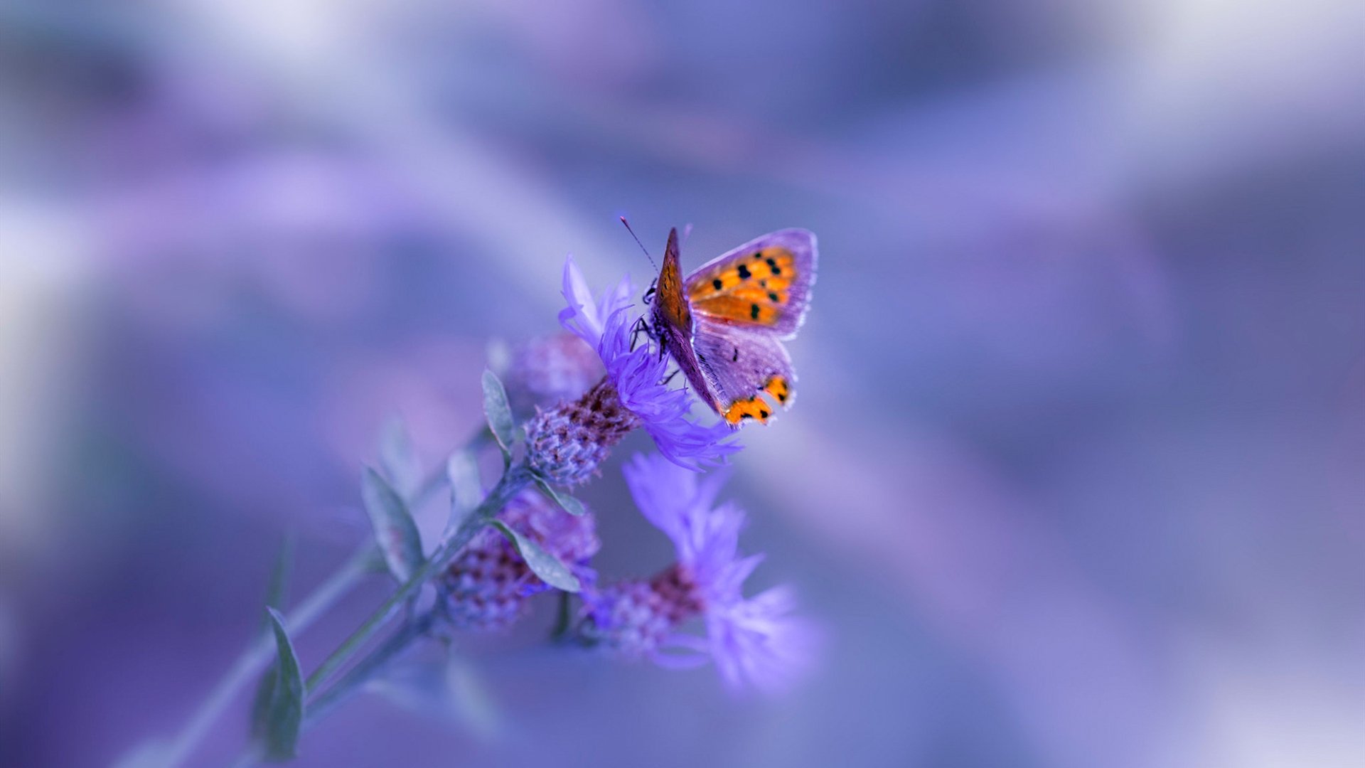 篮球俱乐部青训体系标准化建设推进中,青少年篮球俱乐部训练计划