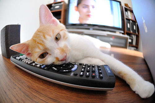 青少年足球装备个性化定制逐步普及，满足多样化需求，青少年足球型号