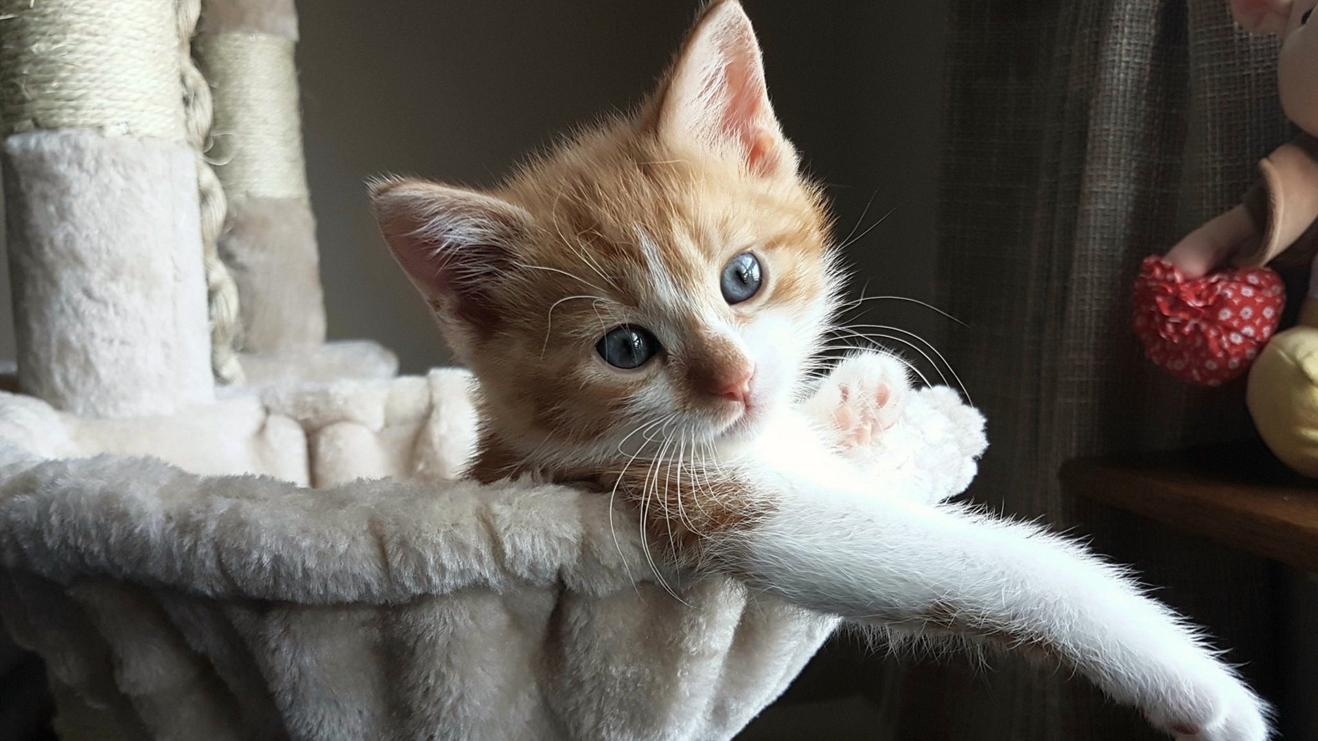 Kim 关键时刻挺身而出,关键时刻挺身而出英语