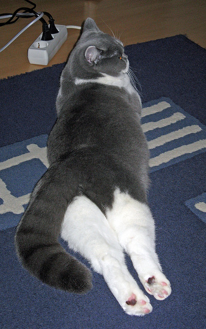 PSG球员心理压力大，决赛表现受影响，psg-esports