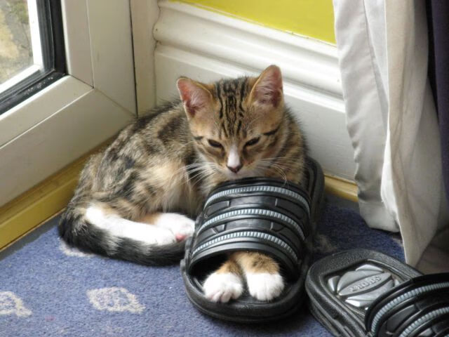 上海江苏达成交易意向，开启合作新篇章