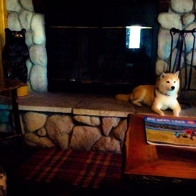 中国篮球女篮核心球员领导力与队内沟通技巧培养,中国女篮核心人物